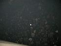2007-11-30-Machine Head+Dragonforce+Arch Enemy-045